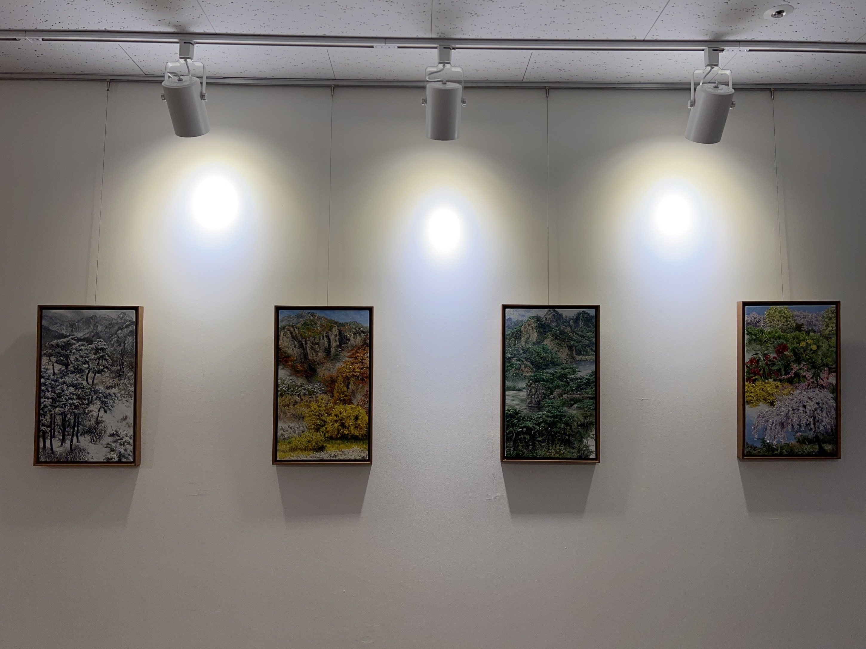 폭신폭신 갤러리