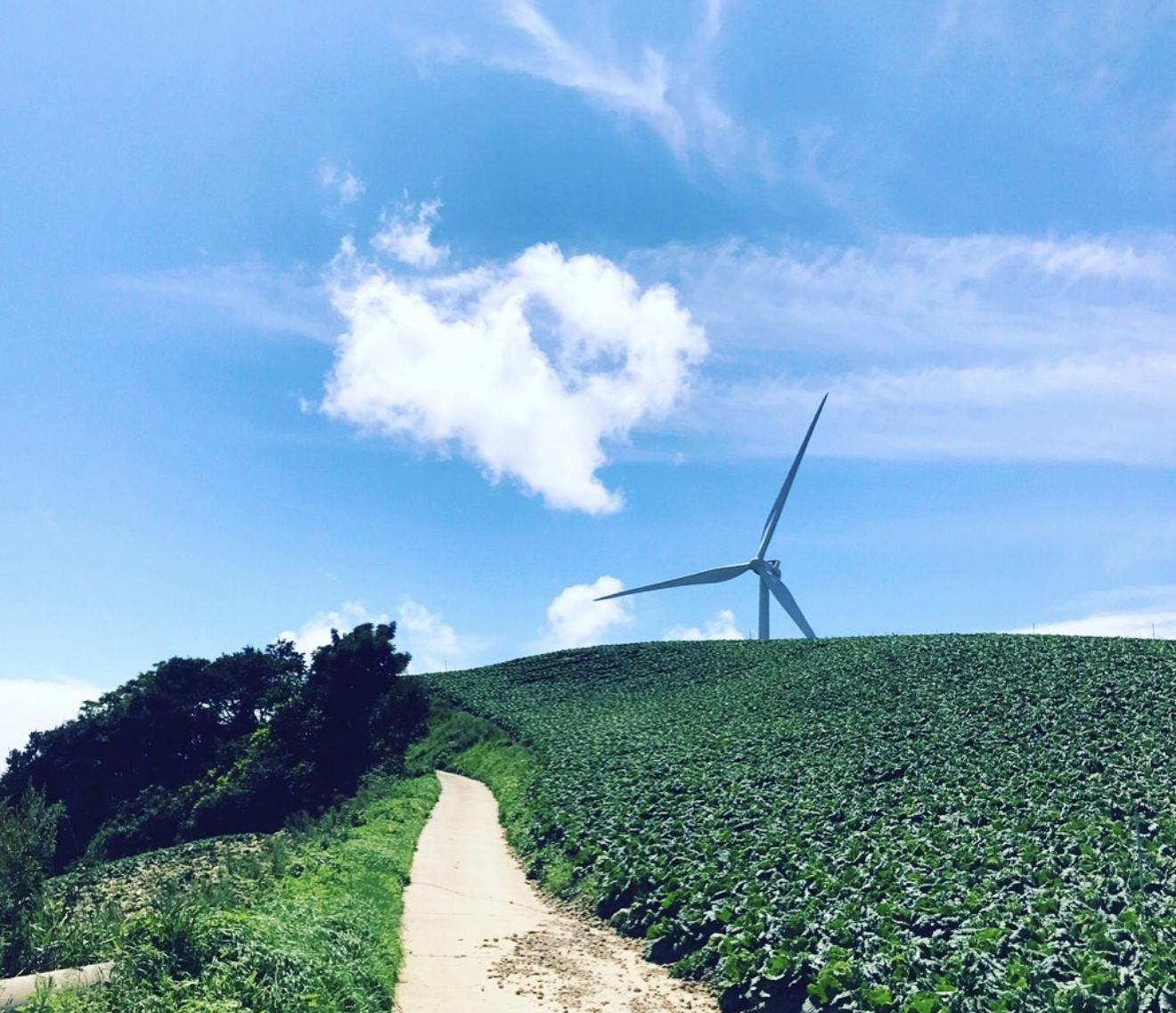 폭신폭신 메인 이미지